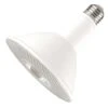 HyLite LED Light Bulb (01319) -Home Lighting Store 01319lg
