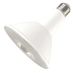 HyLite LED Light Bulb (01319)