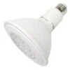 NaturaLED LED Flood Light Bulb (05794) -Home Lighting Store 05794lg