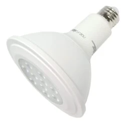 NaturaLED LED Flood Light Bulb (05794)