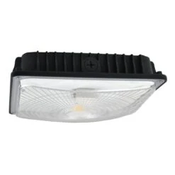 NaturaLED Canopy LED Light Fixture (07472)