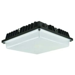Eiko LED Surface Canopy Fixture (09746)