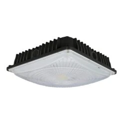 Ushio Canopy LED Light Fixture (1004666)