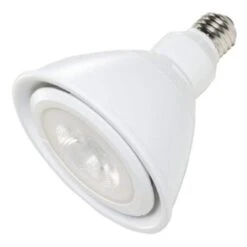 Ushio LED Reflector Flood Light Bulb (1005059)