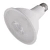 Satco LED Light Bulb (12216) -Home Lighting Store 12210dlg