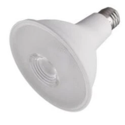 Satco LED Light Bulb (12216)