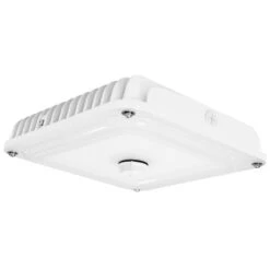 Eiko Canopy Fixture LED (12592)