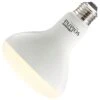 Bulbrite LED Light Bulb (196110)