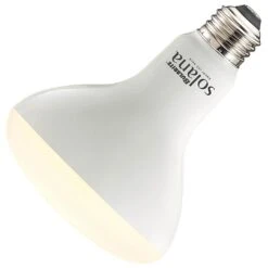 Bulbrite LED Light Bulb (196110)