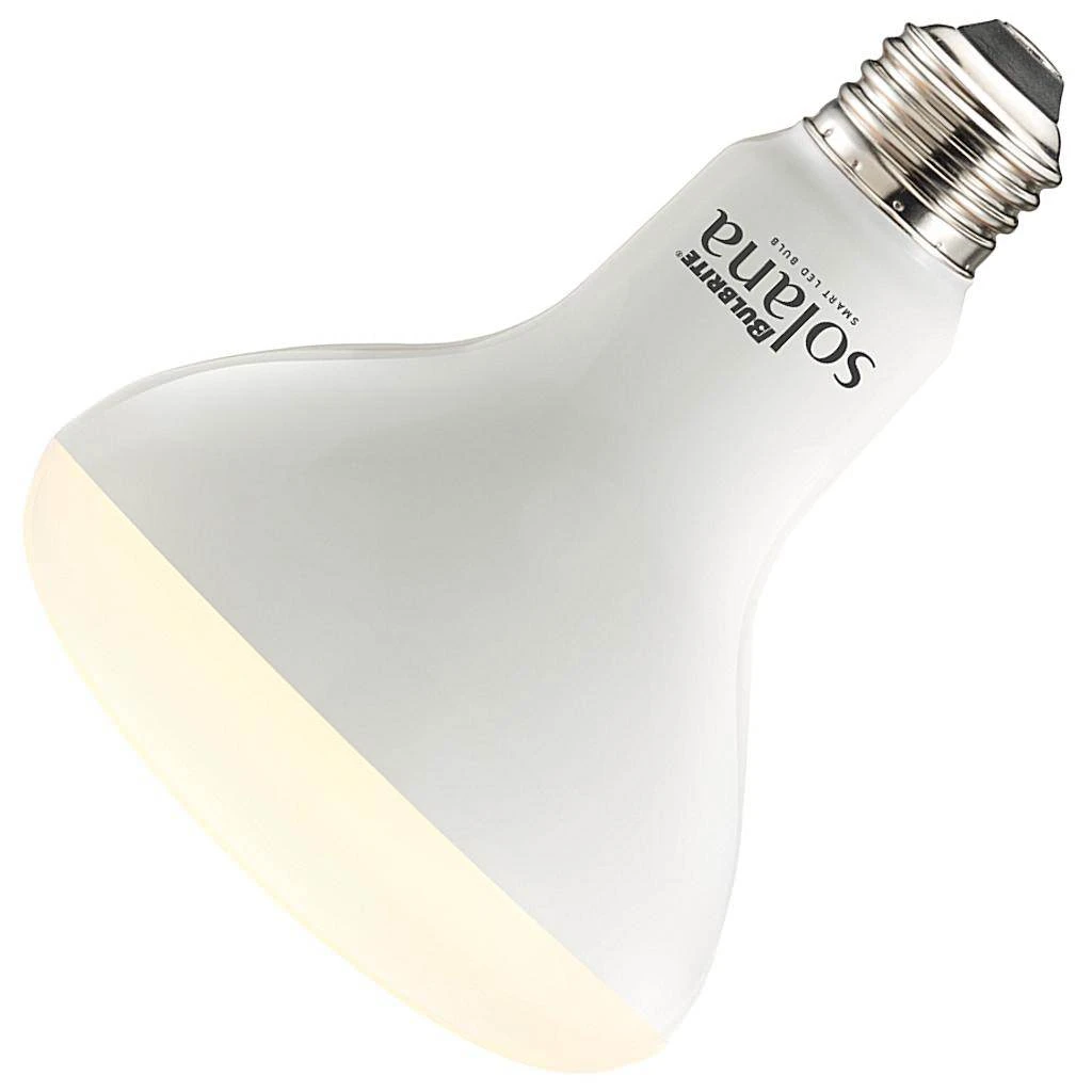 Bulbrite LED Light Bulb (196110) 3 Bulbrite LED Light Bulb (196110)