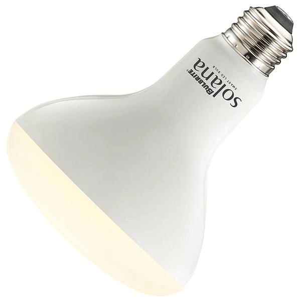 Bulbrite LED Light Bulb (196110) 4 Bulbrite LED Light Bulb (196110) - Image 2