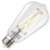 Bulbrite LED Filament Smart Light Bulb (291125) 2 Bulbrite LED Filament Smart Light Bulb (291125) -Home Lighting Store 291125lg