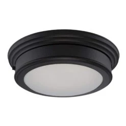 Nuvo LED Ceiling Light Fixture (32152)