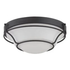 Nuvo LED Ceiling Light Fixture (32528)