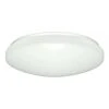 Nuvo LED Ceiling Light Fixture (32792)