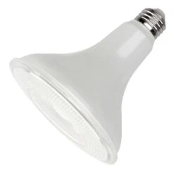 Maxlite LED Flood Light Bulb (27222)