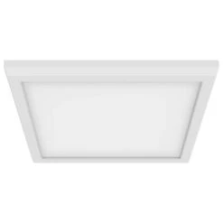 Nuvo Lighting LED Ceiling Light Fixture (62575)