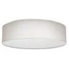 Nuvo Lighting Flush Mount LED Light Fixture (62998) 1 Nuvo Lighting Flush Mount LED Light Fixture (62998) -Home Lighting Store 62998lg