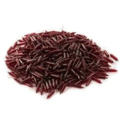 Vickerman Incandescent Mini Replacement Bulbs (500 Pack) (646595) 7 Vickerman Incandescent Mini Replacement Bulbs (500 Pack) (646595) -Home Lighting Store 646502pilemd