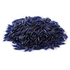 Vickerman Incandescent Mini Replacement Bulbs (500 Pack) (646670) -Home Lighting Store 646670pilemd