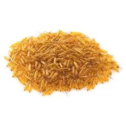 Vickerman Incandescent Mini Replacement Bulbs (500 Pack) (646717) 7 Vickerman Incandescent Mini Replacement Bulbs (500 Pack) (646717) -Home Lighting Store 646717pilemd