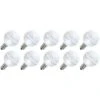 Vickerman LED Light Bulb (10 Pack) (646830) 1 Vickerman LED Light Bulb (10 Pack) (646830) -Home Lighting Store 646830alg