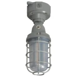 Nuvo LED Fixture (67173)