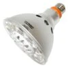 Litetronics LED Reflector Spot Light Bulb (67480) -Home Lighting Store 67480lg