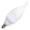 Litetronics LED Light Bulb (67670) -Home Lighting Store 67670lg
