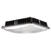 Morris LED Canopy Fixture (71609) -Home Lighting Store 71609lg