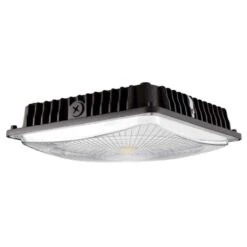 Morris LED Canopy Fixture (71609)