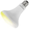 Sylvania LED Light Bulb (74987) -Home Lighting Store 74987lg