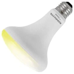 Sylvania LED Light Bulb (74987) -Home Lighting Store 74987md