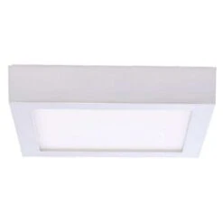 Bulbrite LED Ceiling Light (773138)