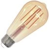 Bulbrite LED Antique Filament Light Bulb (776909) -Home Lighting Store 776809lg
